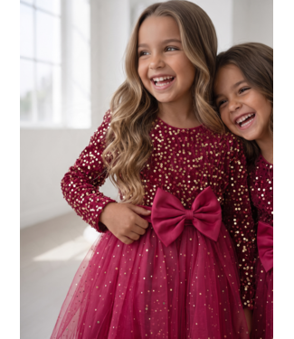 Sparkle Bow Dress Bordeaux Rood