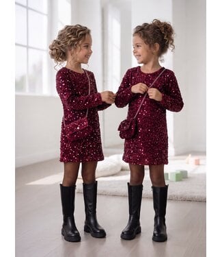 SeQuin Glam Jurk & Tasje - Bordeaux