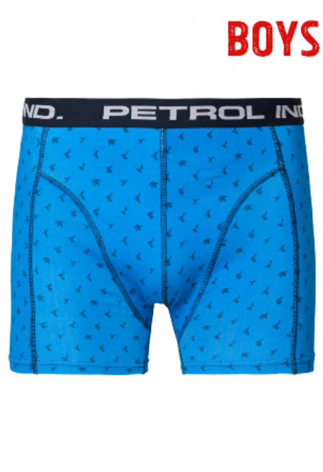 Petrol Petrol boxershort BBX-HS17-02-552