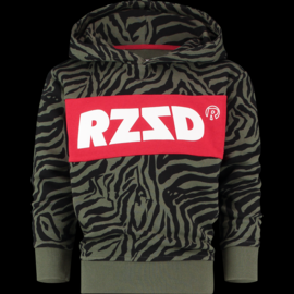 Raizzed Raizzed hoodie sweater Riga army zebra R220RGN34602