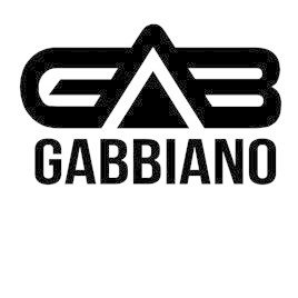 Gabbiano