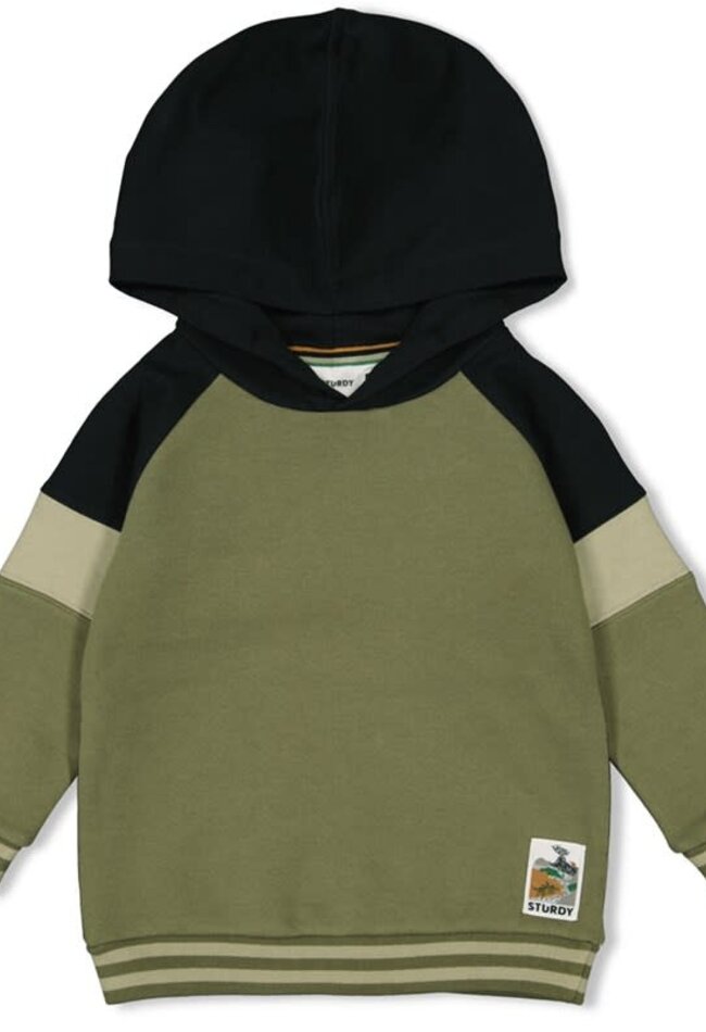 Sturdy Sturdy hooded sweater 71600530 - He Ho Dino