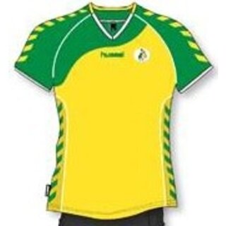 Hummel KV Huizen shirt heren