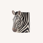 Pot pencil Zebra