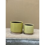 Pot stippels pistache/crème