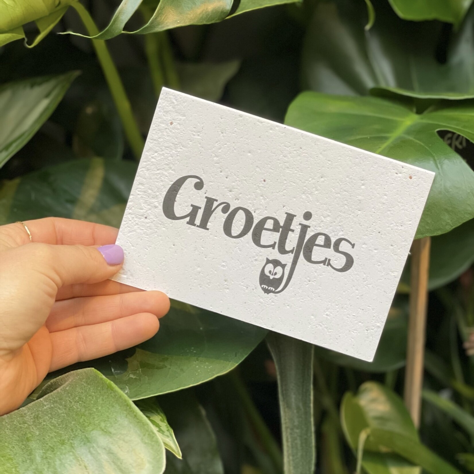 Postcards - Tekst Groetjes