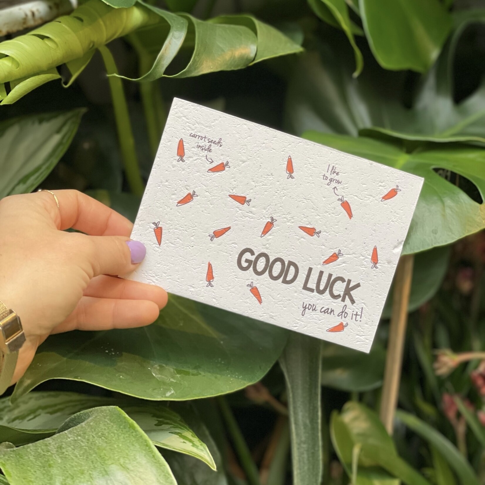 Postcards - Vegetable/Herbs Good Luck - Carrot