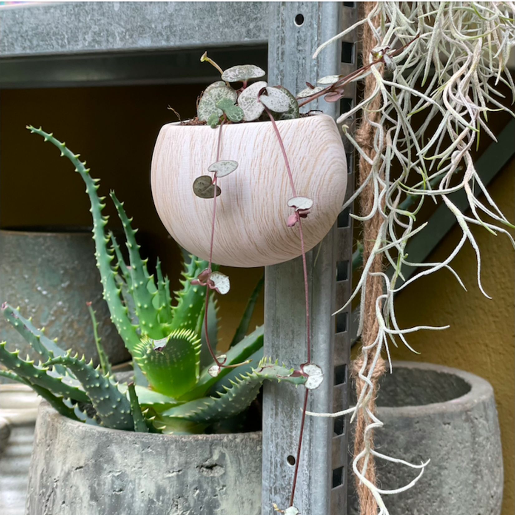 Potje magnetisch houtlook
