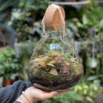 Terrarium M