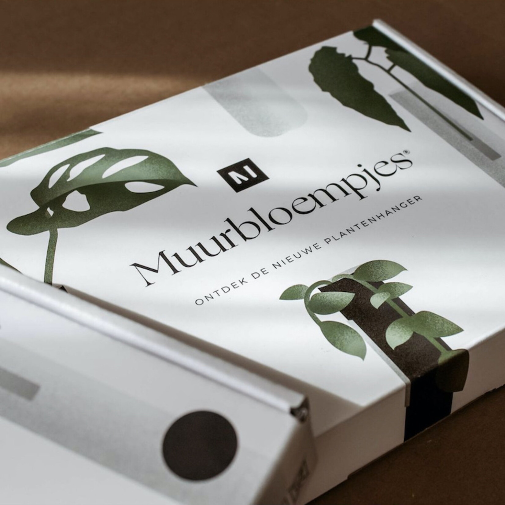 Muurbloempjes 3 planthangers - transparant