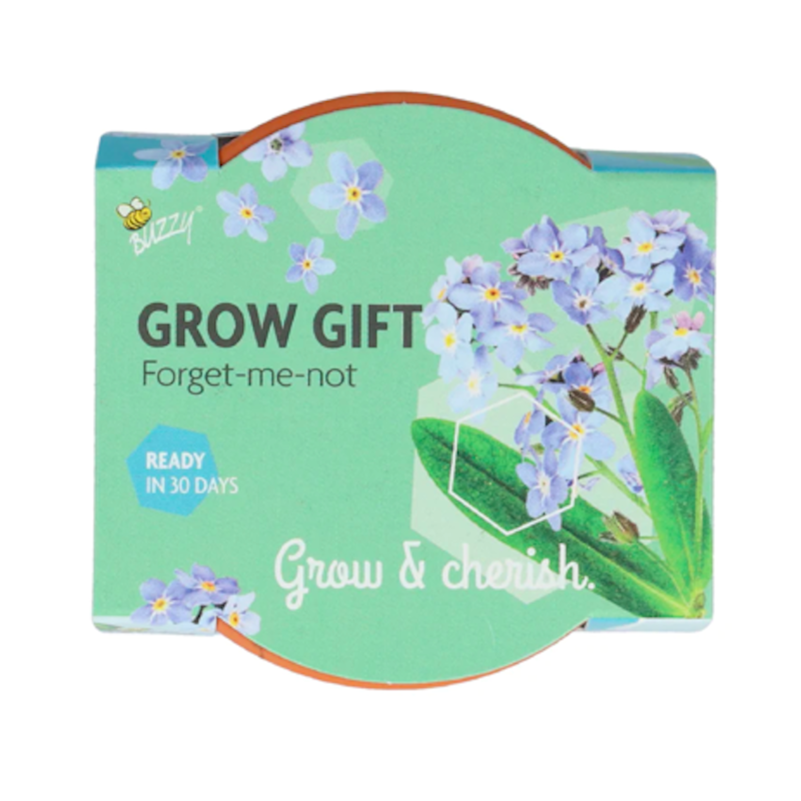 Grow gift - vergeet me niet