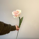 Zijden bloem - Franse tulp