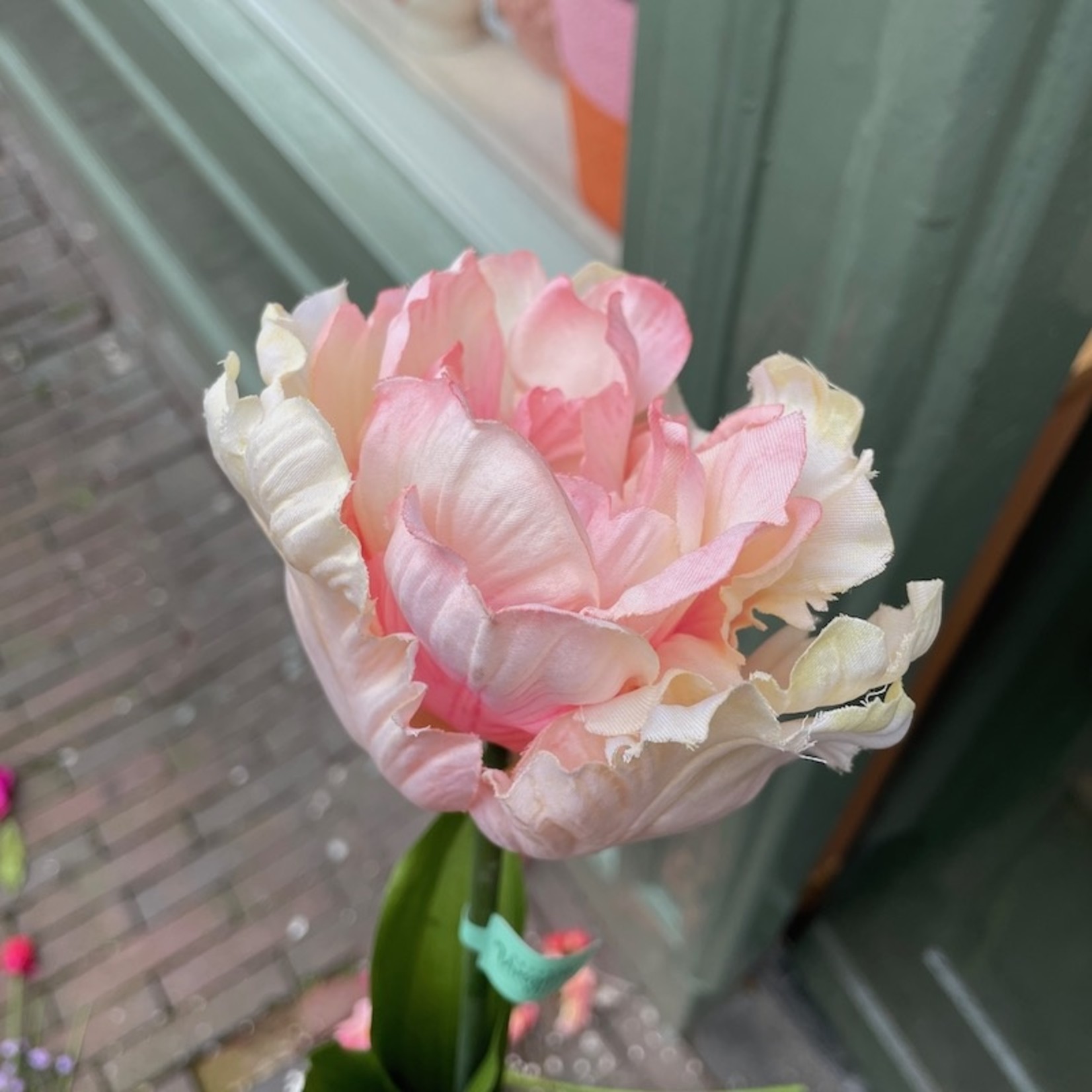 Zijden bloem - Franse tulp