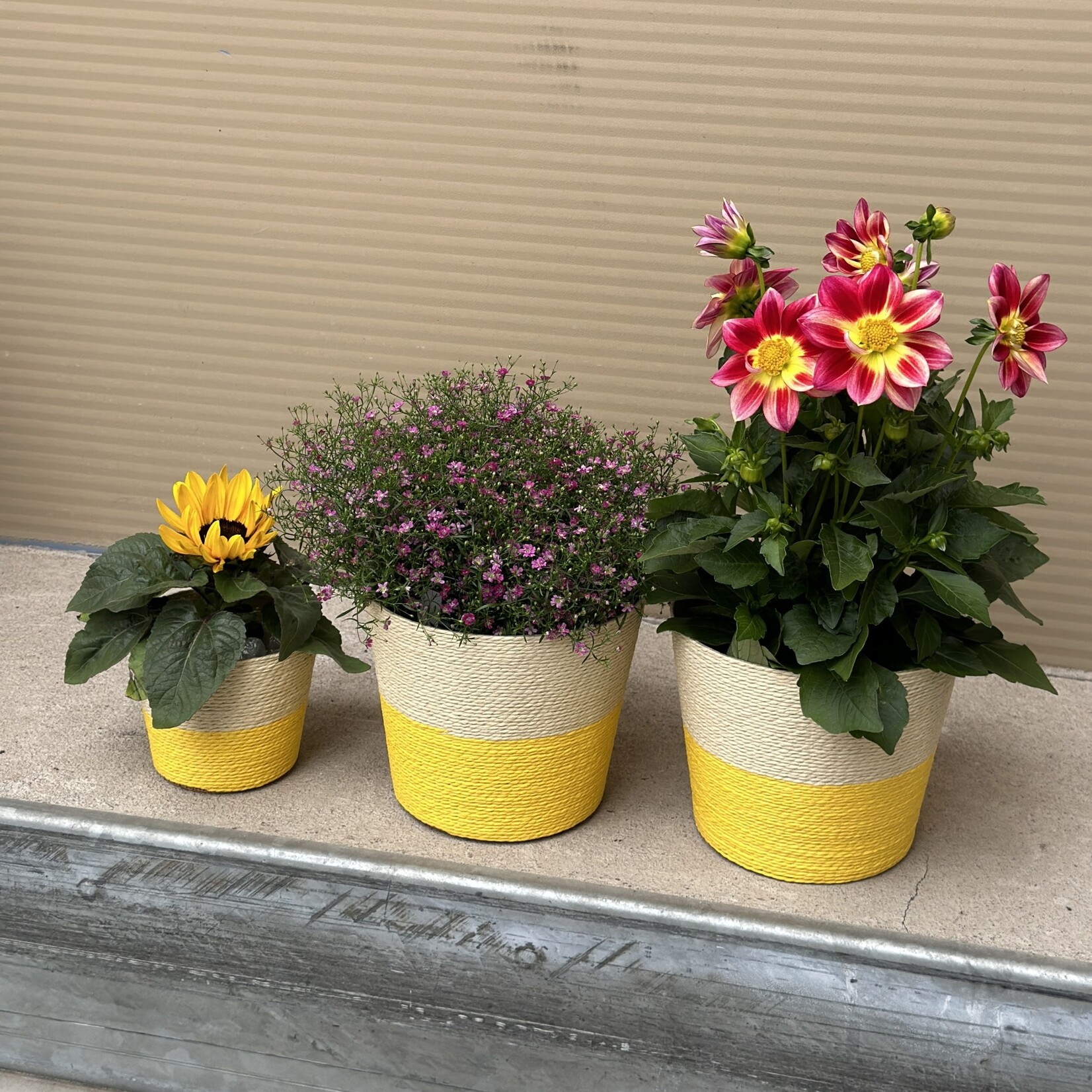 Gekleurde manden - geel