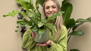 Chantal wil Groene Vingers - varens Chantal wil Groene Vingers - varens