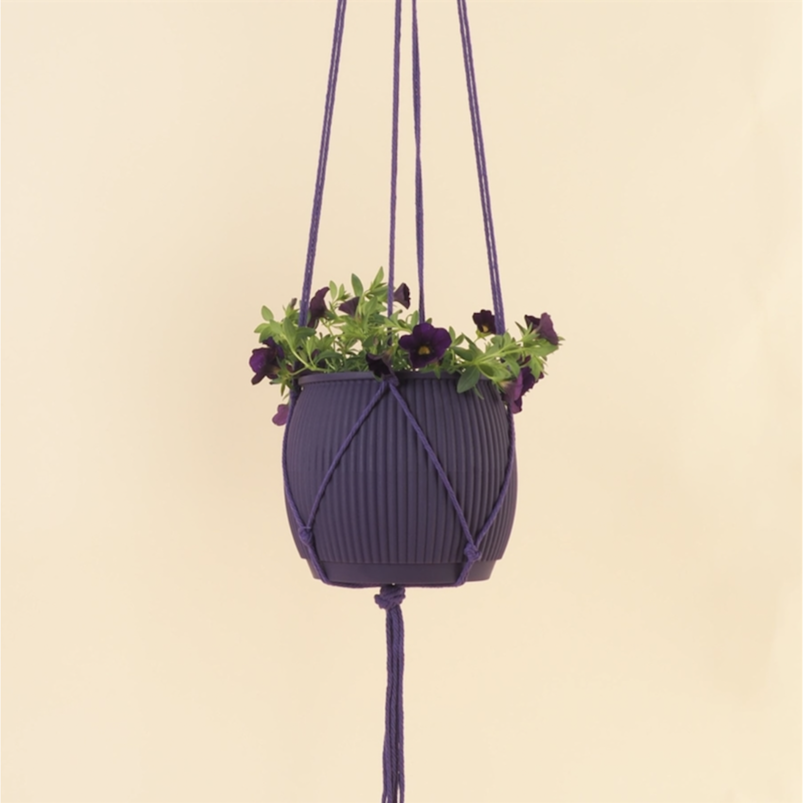 Plantenhanger - deep purple