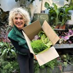 Verrassing plantenbox