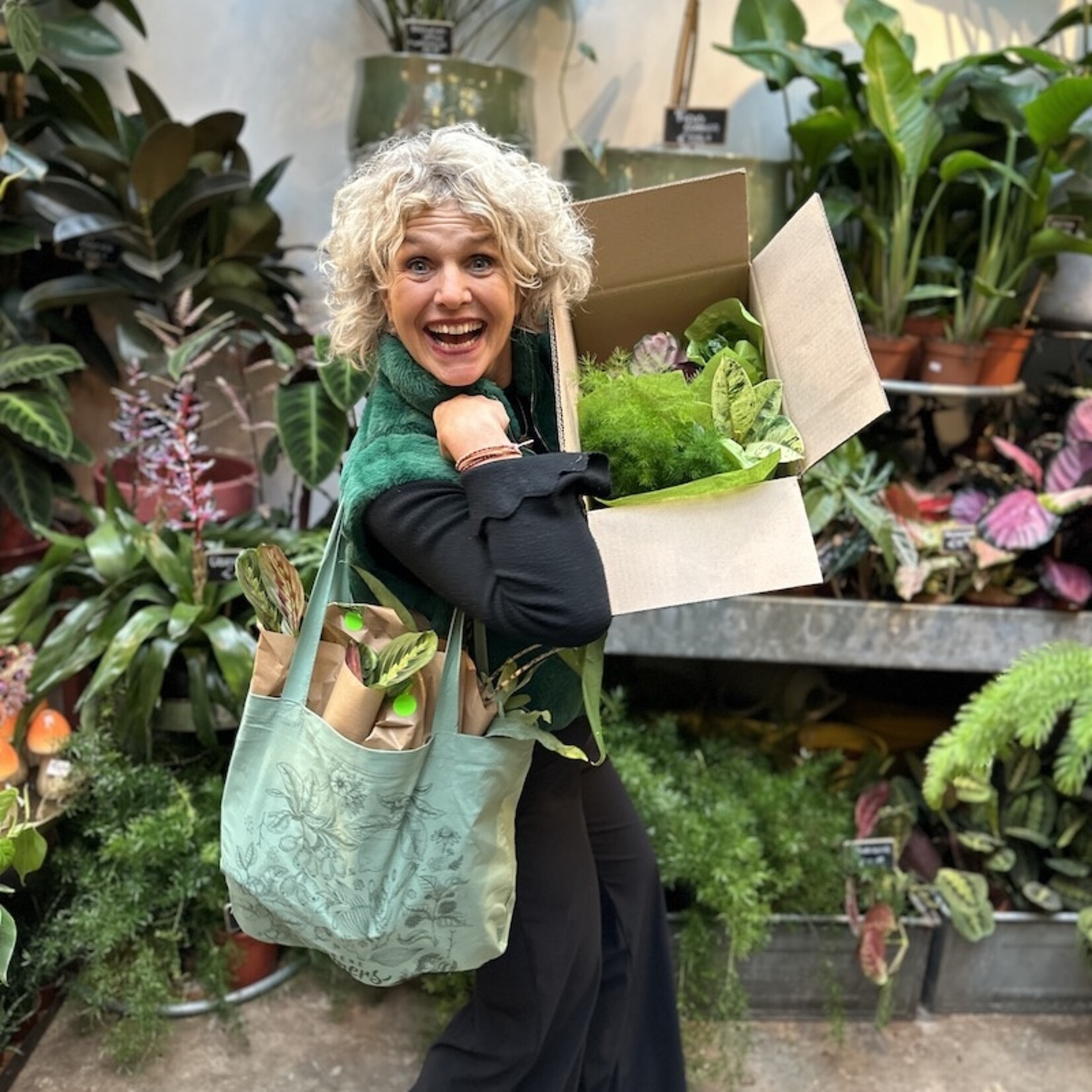Verrassing plantentas