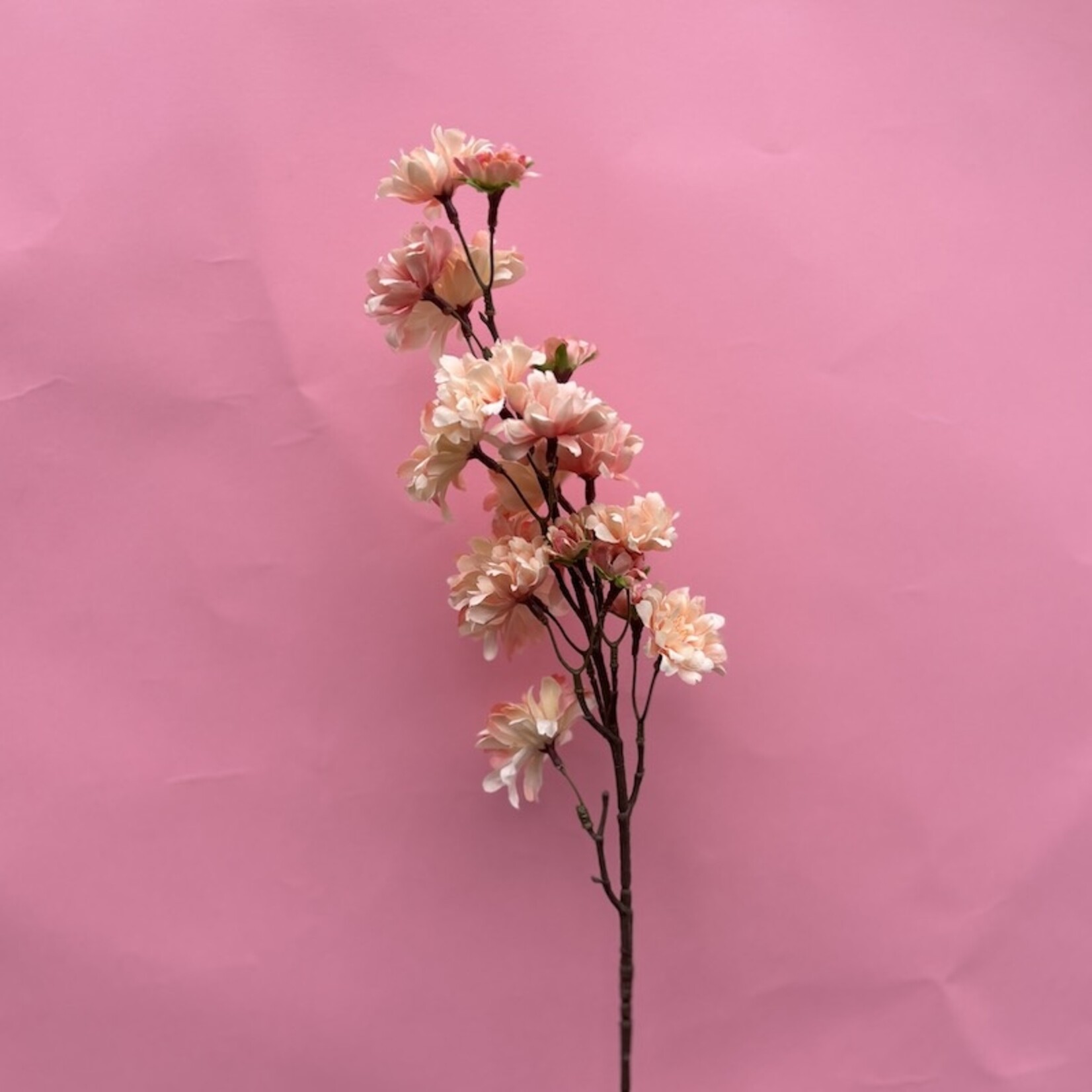 Zijden bloem - prunus bloesem licht roze