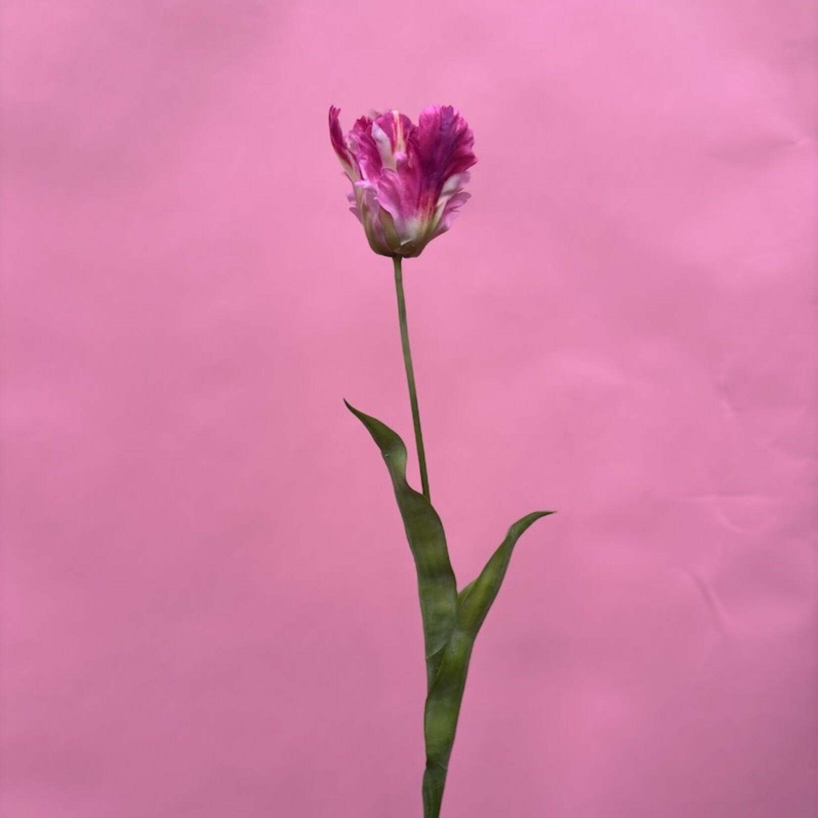 Zijden bloem - Tulp roze - Large