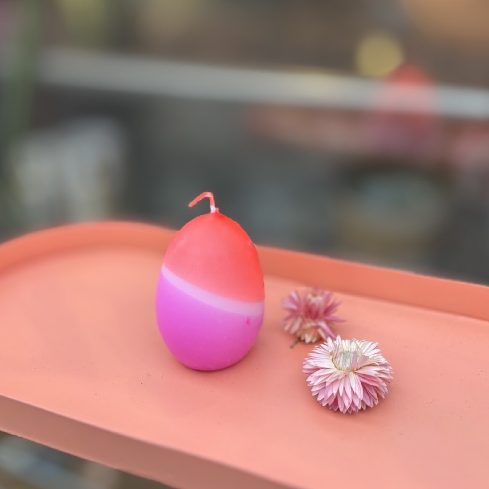 Paasei kaarsen - neon