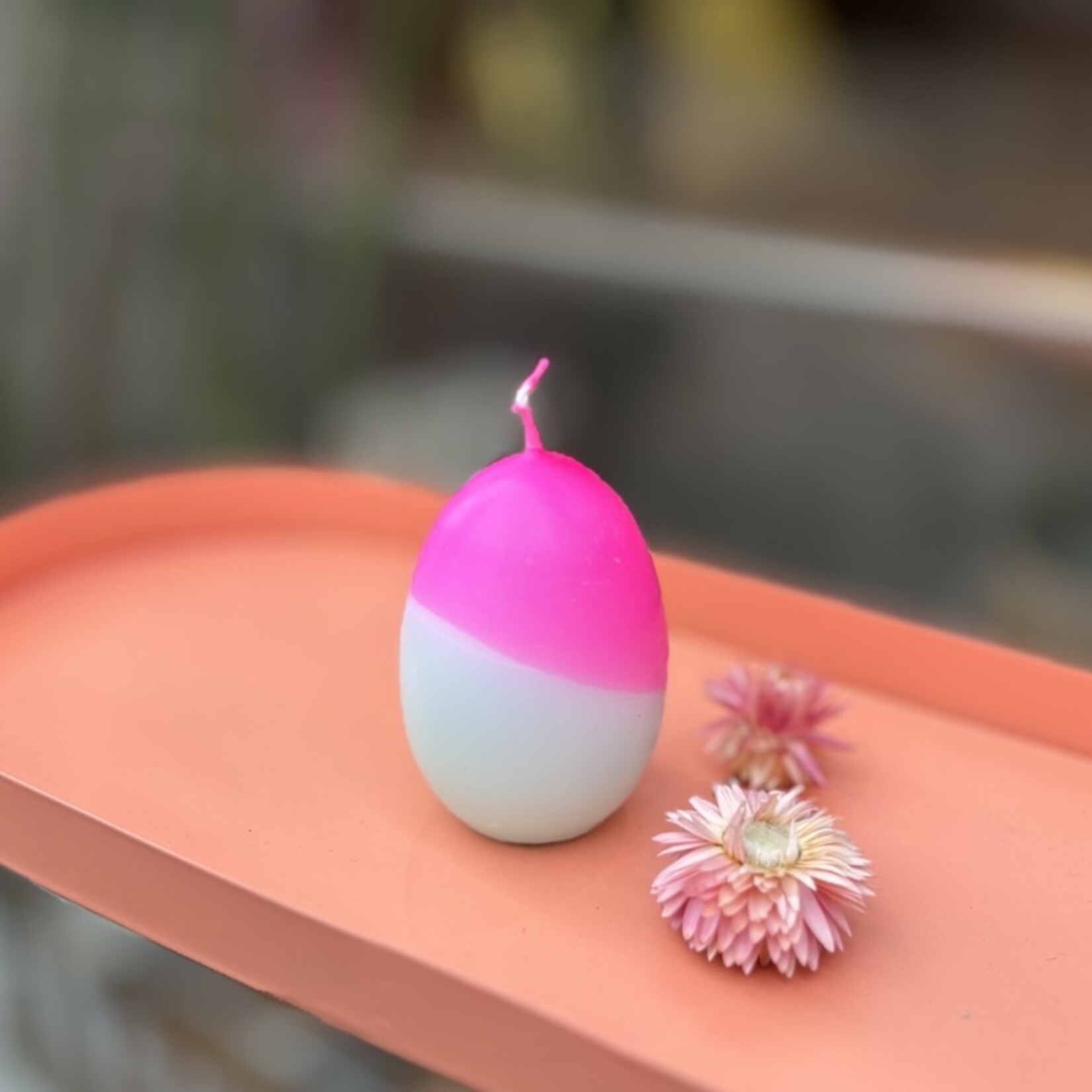 Paasei kaarsen - neon