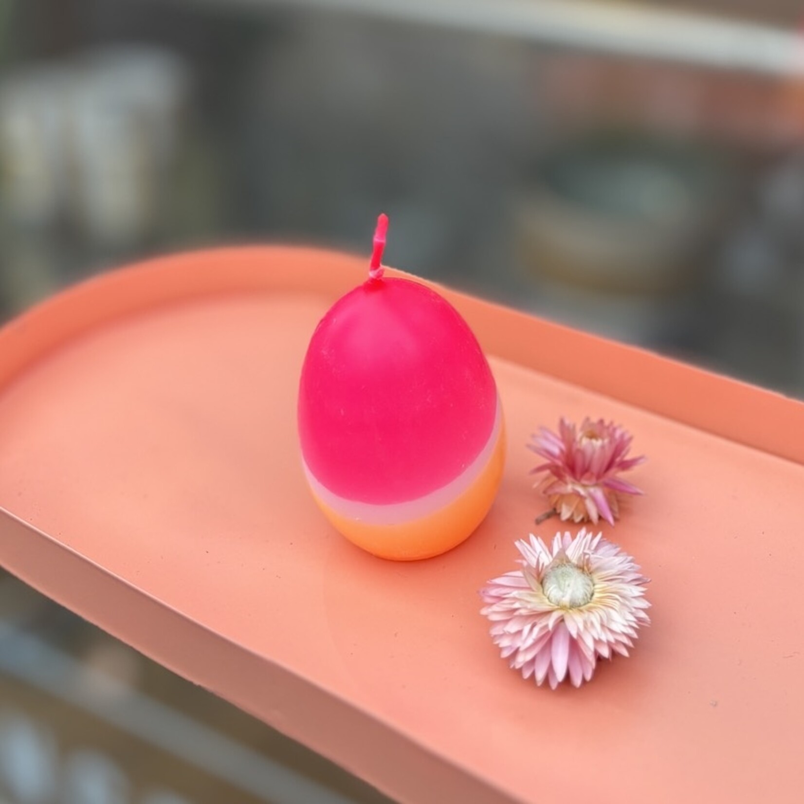 Paasei kaarsen - neon