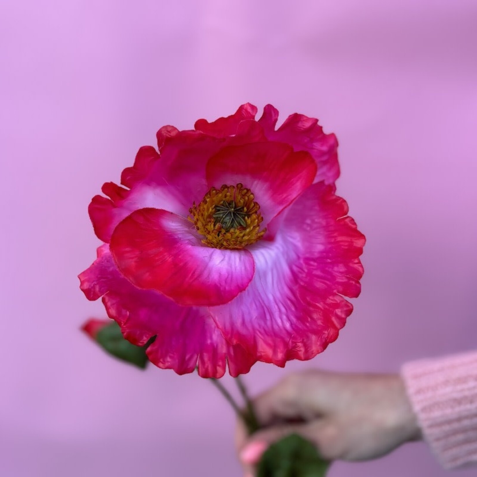 Zijden bloem - Klaproos roze