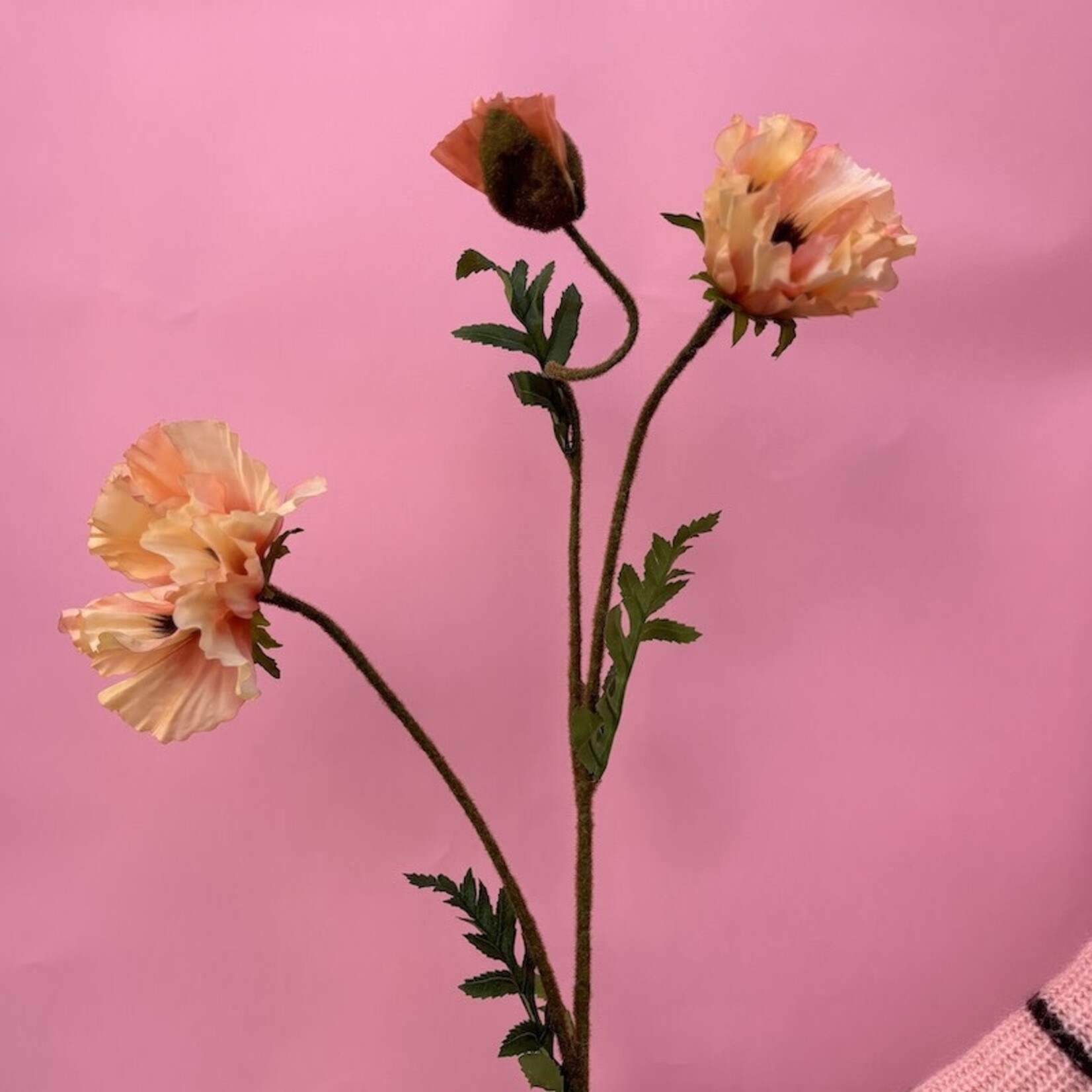 Zijden bloem - Poppy peach