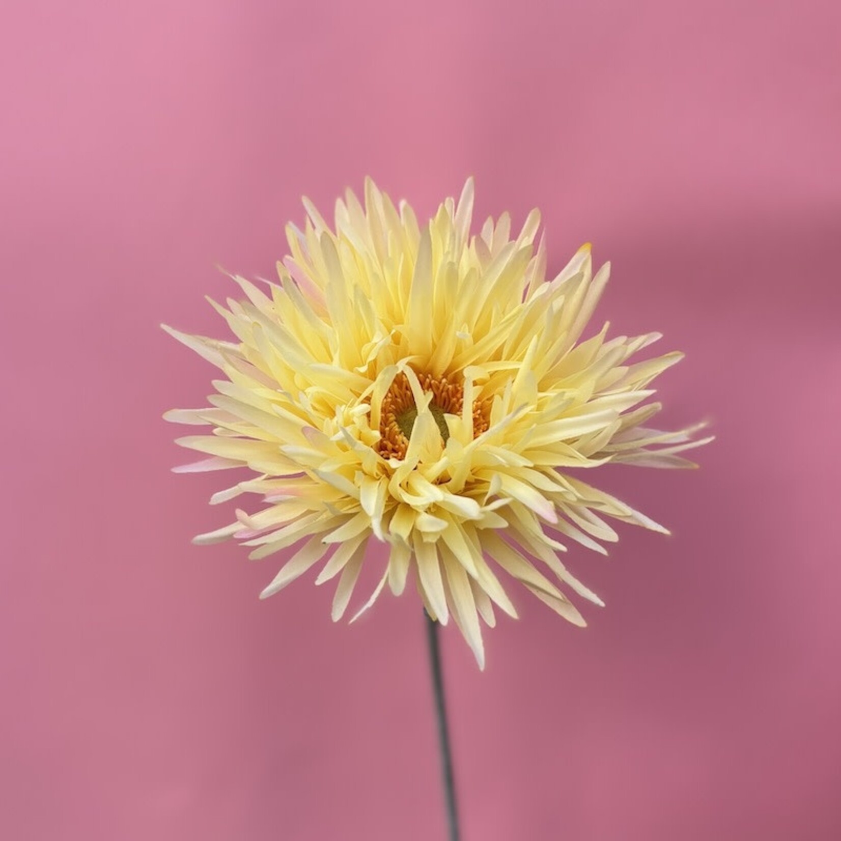 Zijden bloem - Gerbera geel