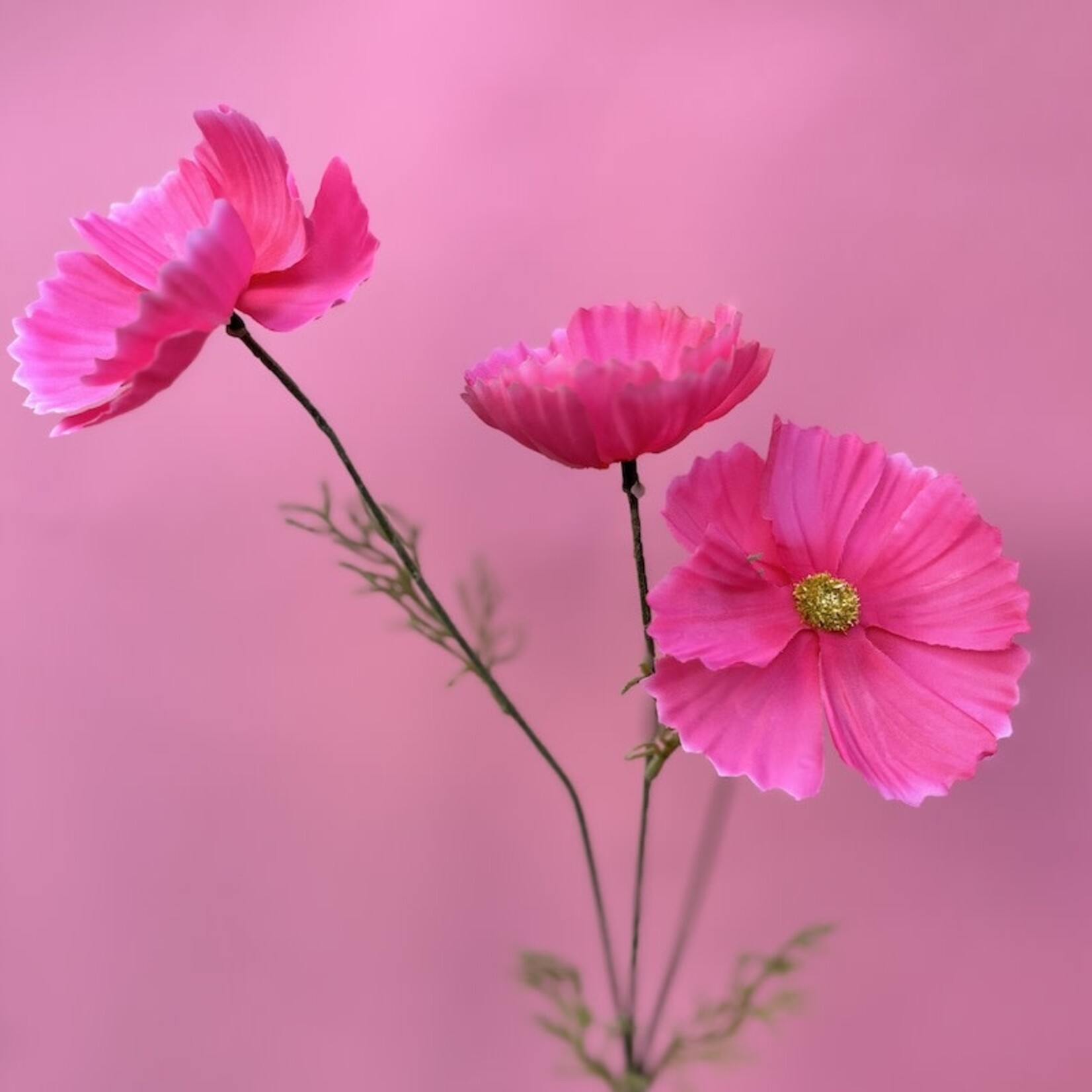 Zijden bloem - Cosmos roze