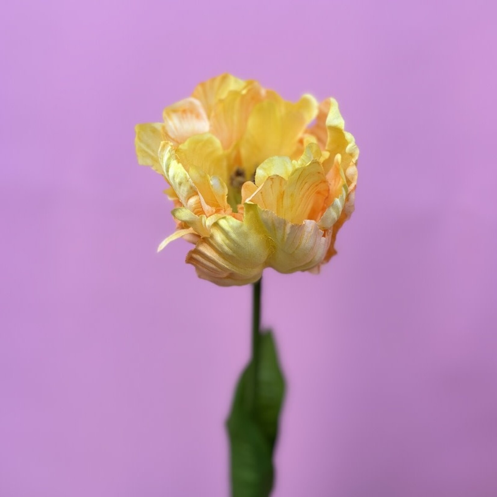 Zijden bloem - Tulp peach - medium