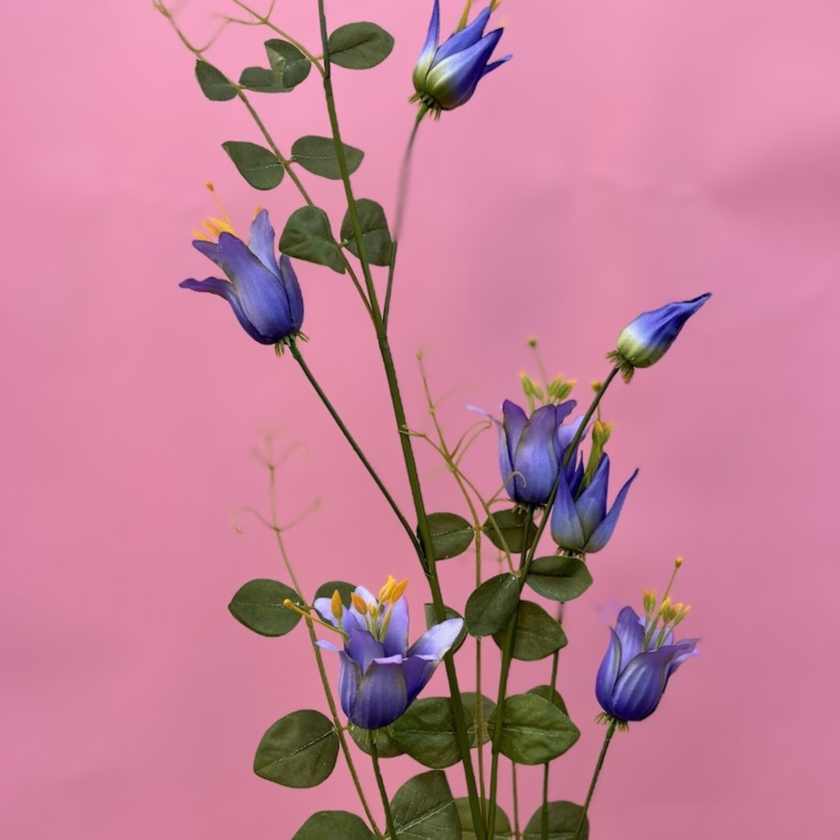 Zijden bloem - Clematis paars/blauw