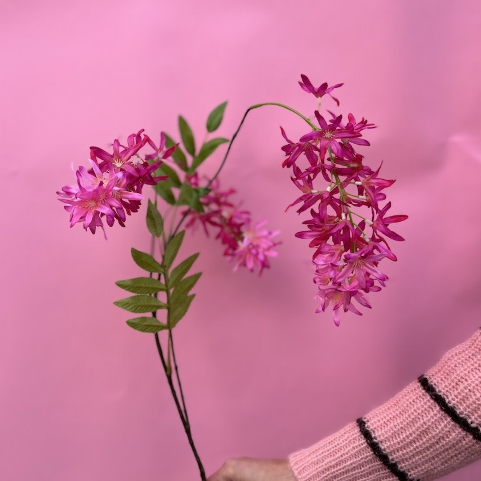 Zijden bloem - Lentebloem roze