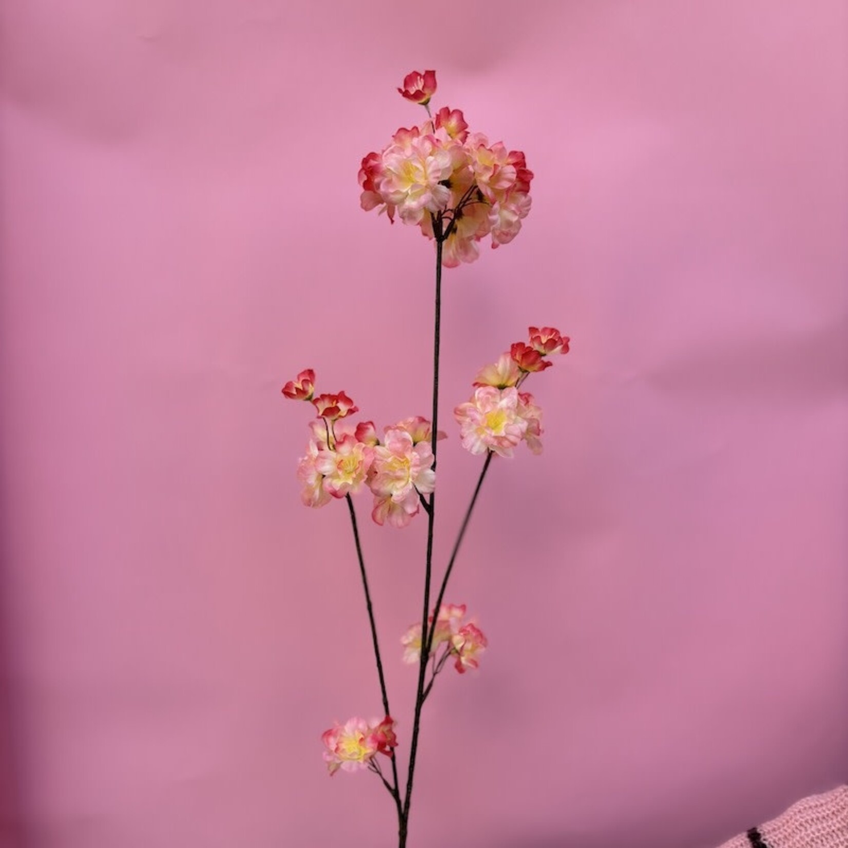Zijden bloem - prunus bloesem perzik/roze