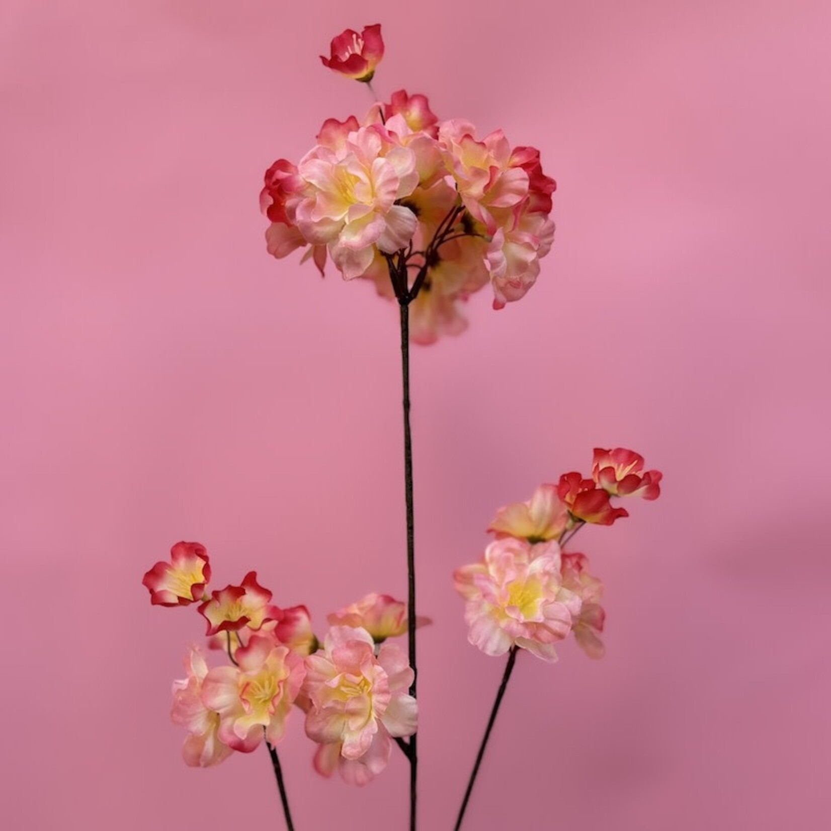 Zijden bloem - prunus bloesem perzik/roze