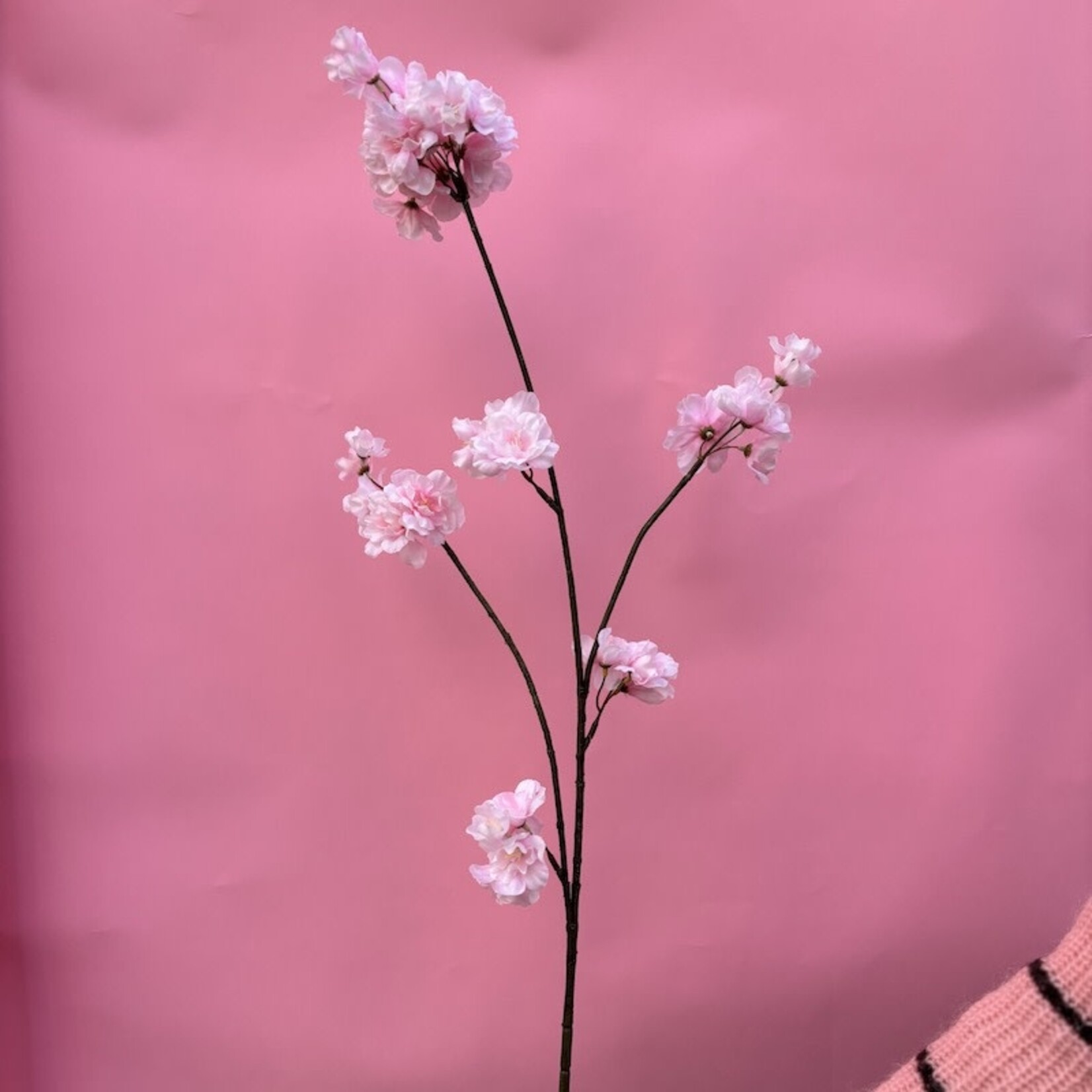 Zijden bloem - prunus bloesem licht roze