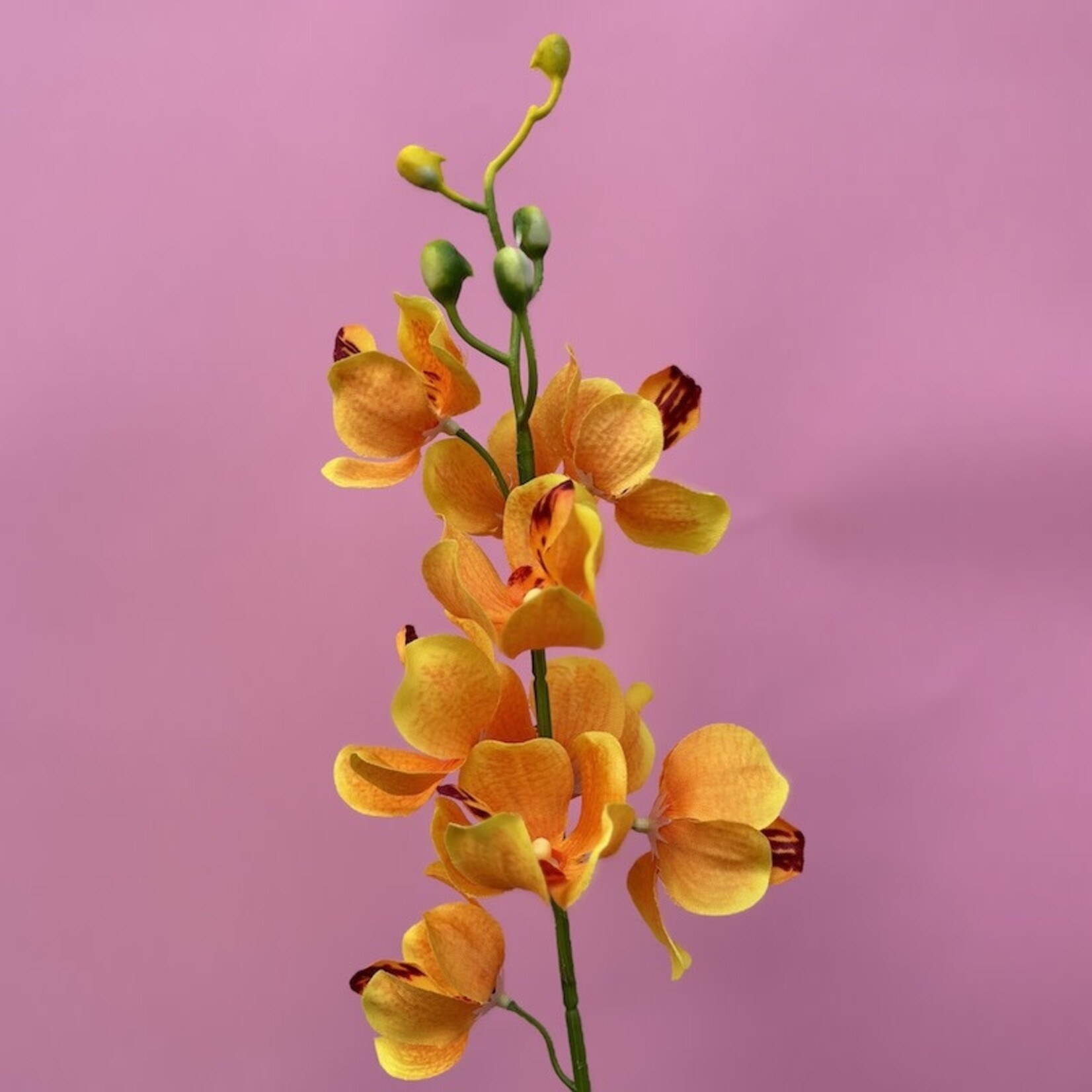 Zijden bloem - Orchidee geel