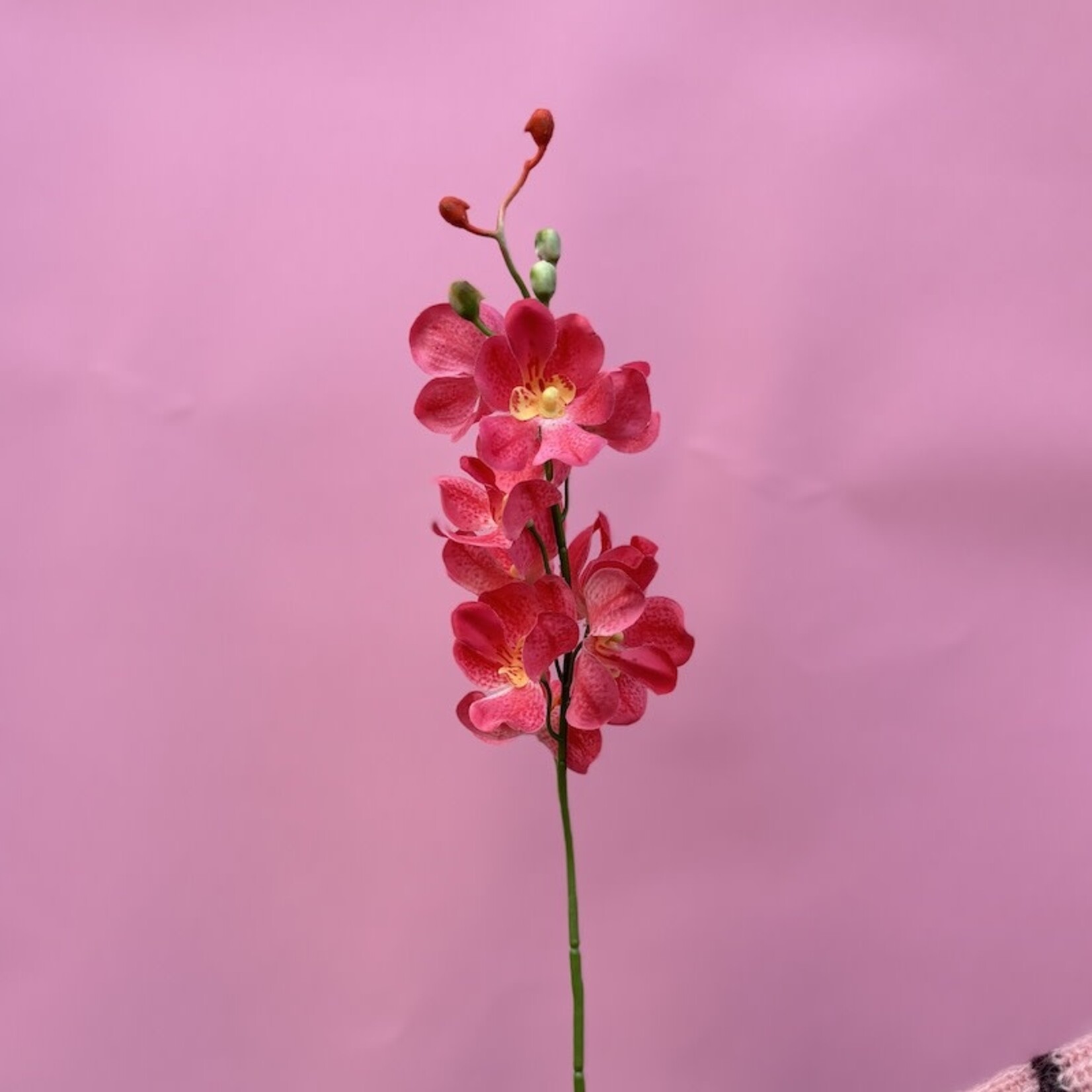 Zijden bloem - Orchidee koraal