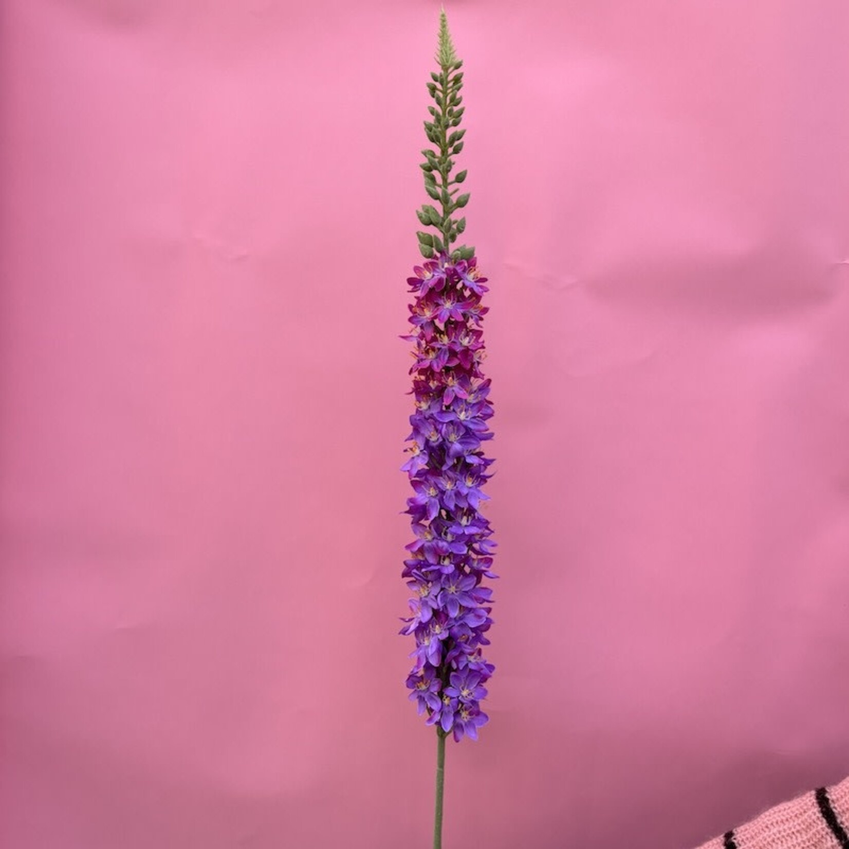 Zijden bloem - Delphinium roze/lichtpaars
