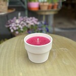 Buiten kaars - terracotta pot S - Fuchsia