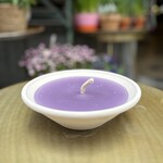 Buiten kaars - terracotta pot L - Lavender