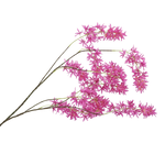 Zijden bloem - Wisteria donker roze
