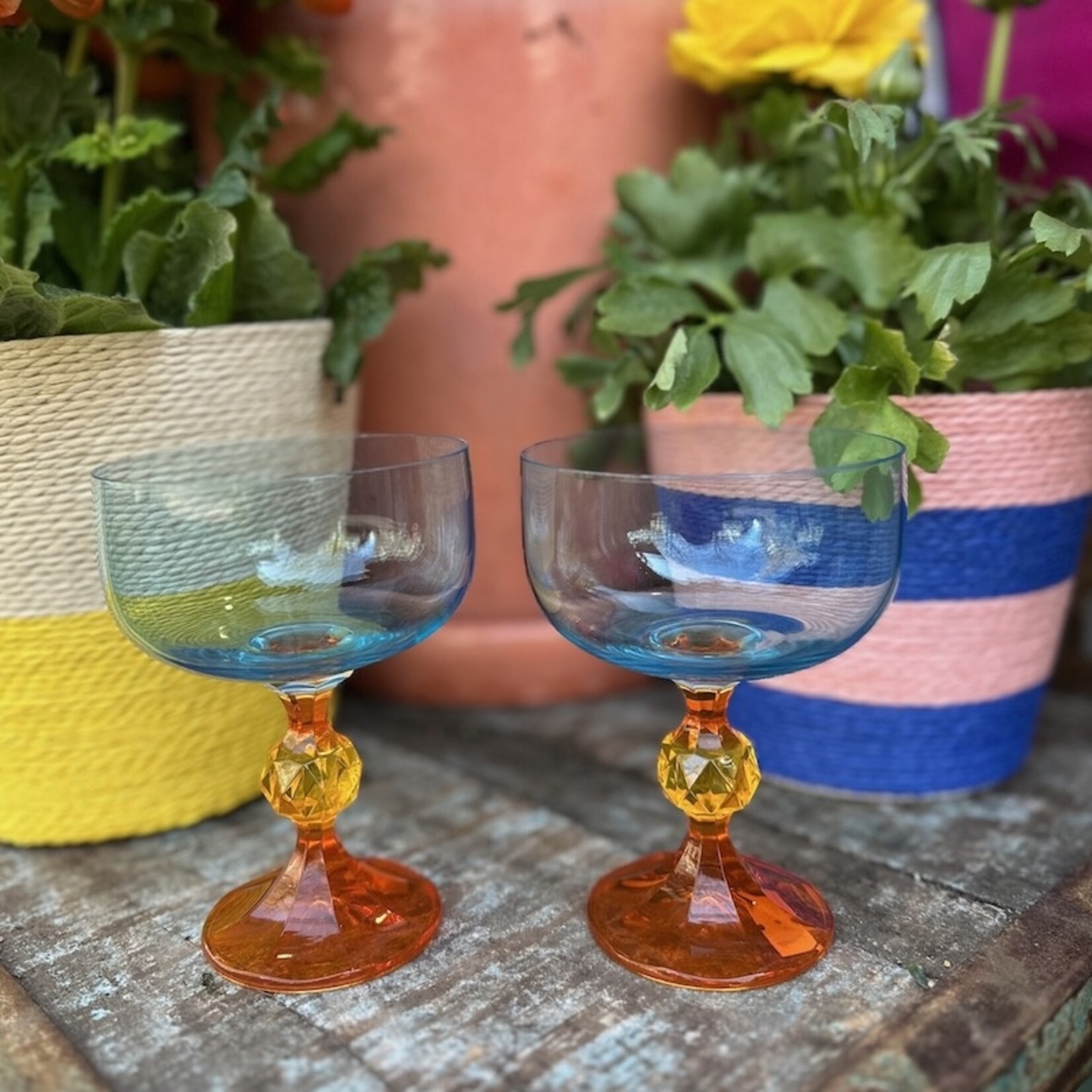 Anna+Nina - Paradise Cocktail Glass