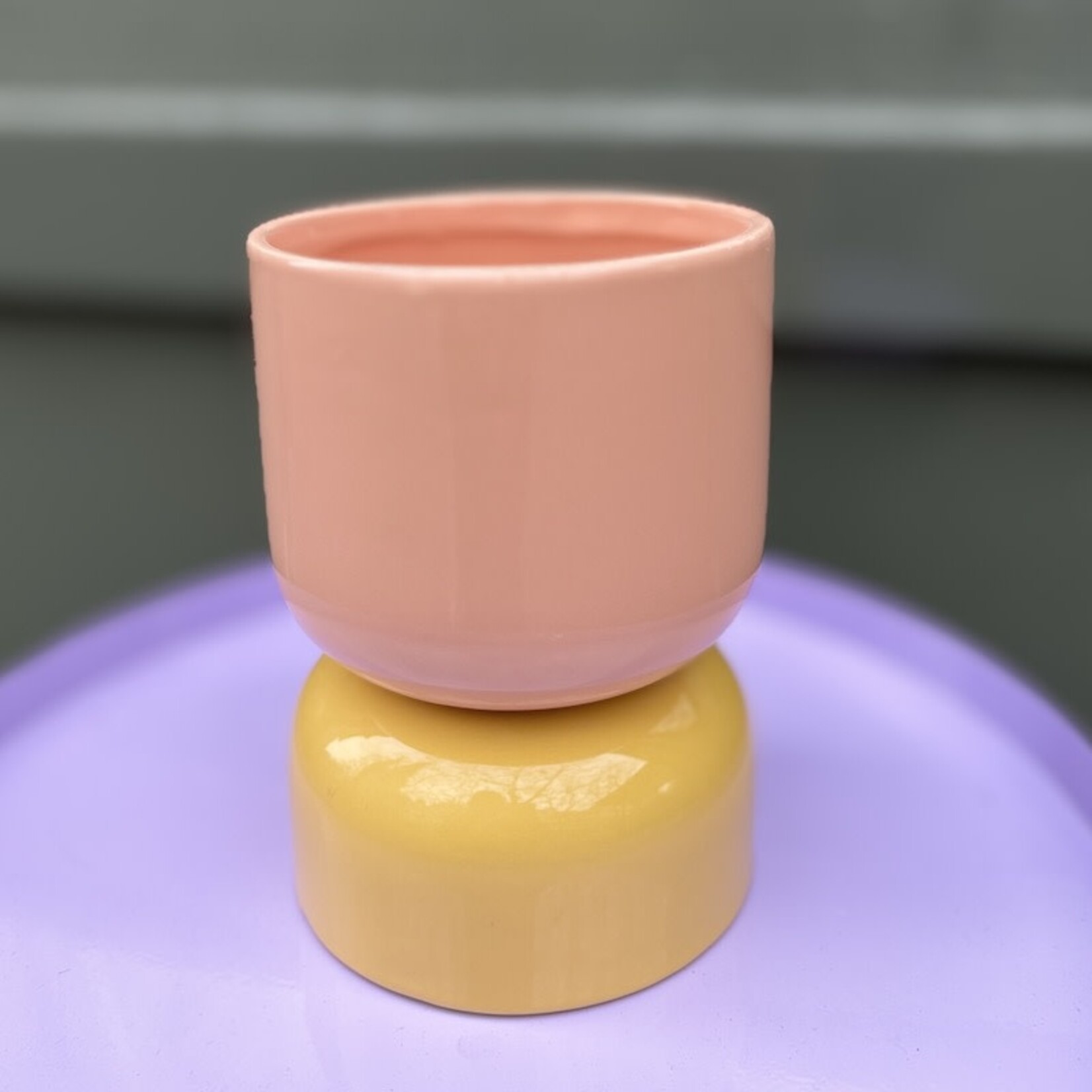Waterdrinker Pot Iris - roze/geel