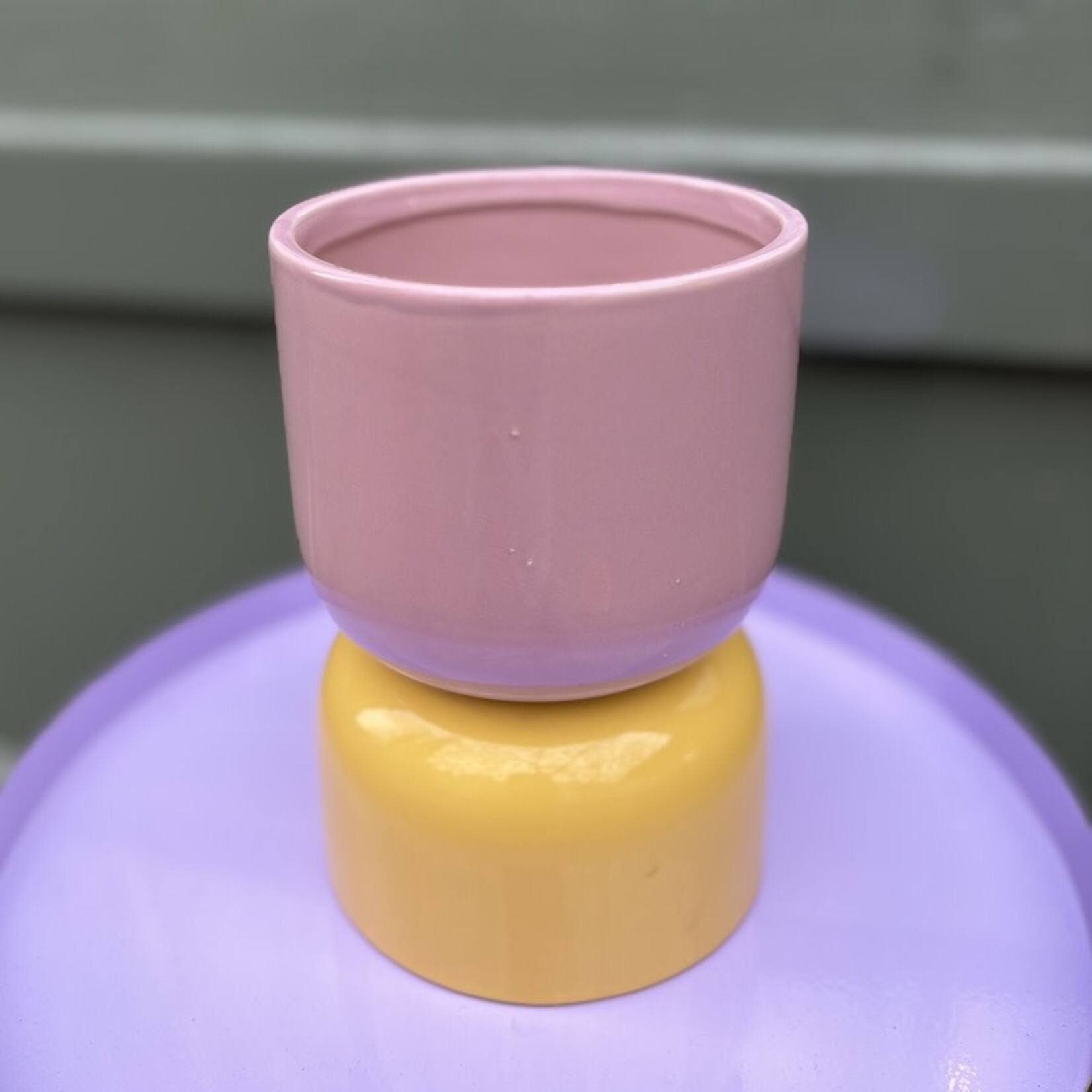Waterdrinker Pot Iris - lila/geel