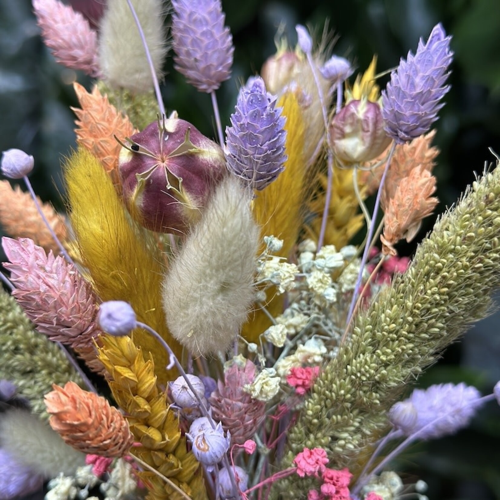 Droogbloemen vaasje lila