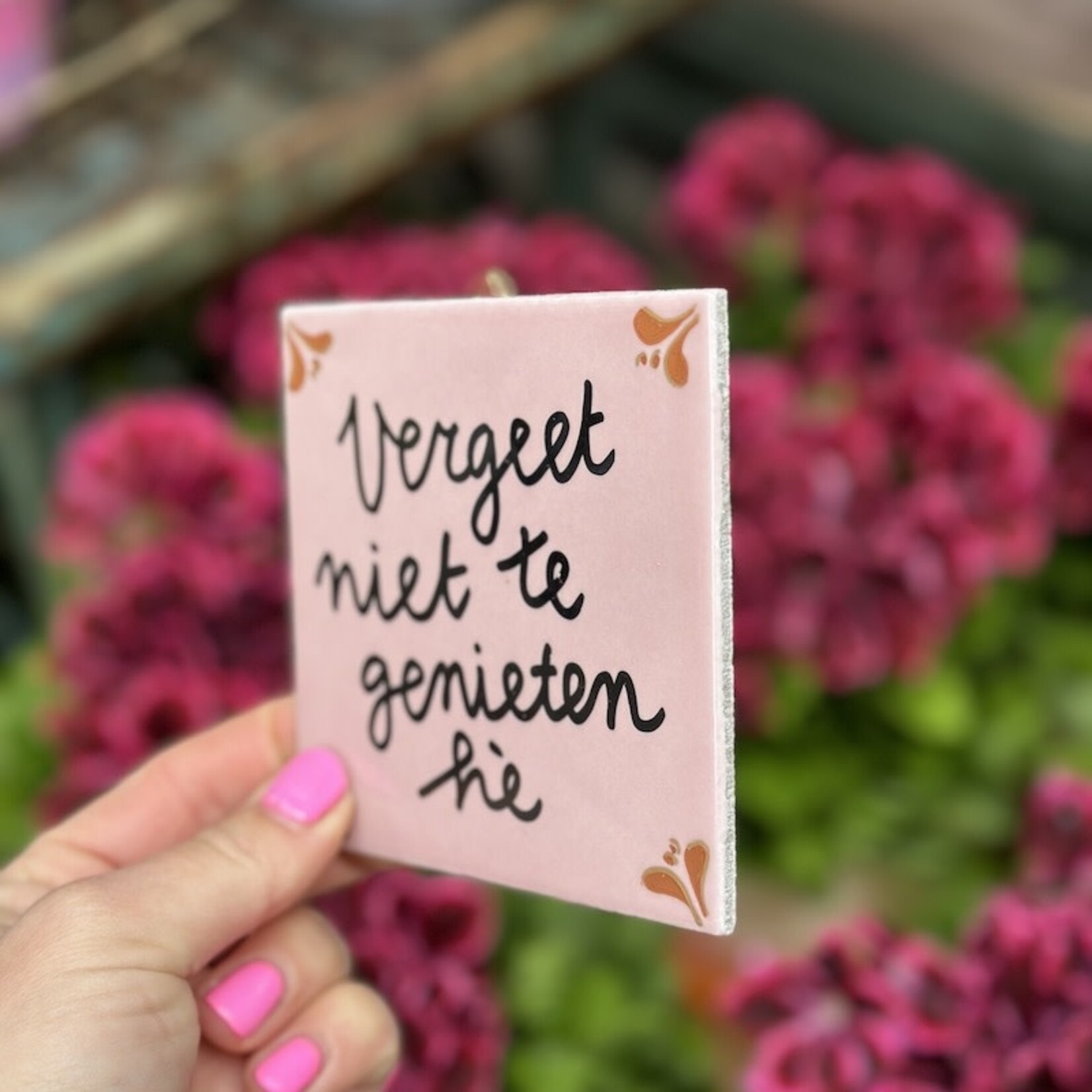 Tegeltje - vergeet niet te genieten roze