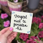 Tegeltje - vergeet niet te genieten mint