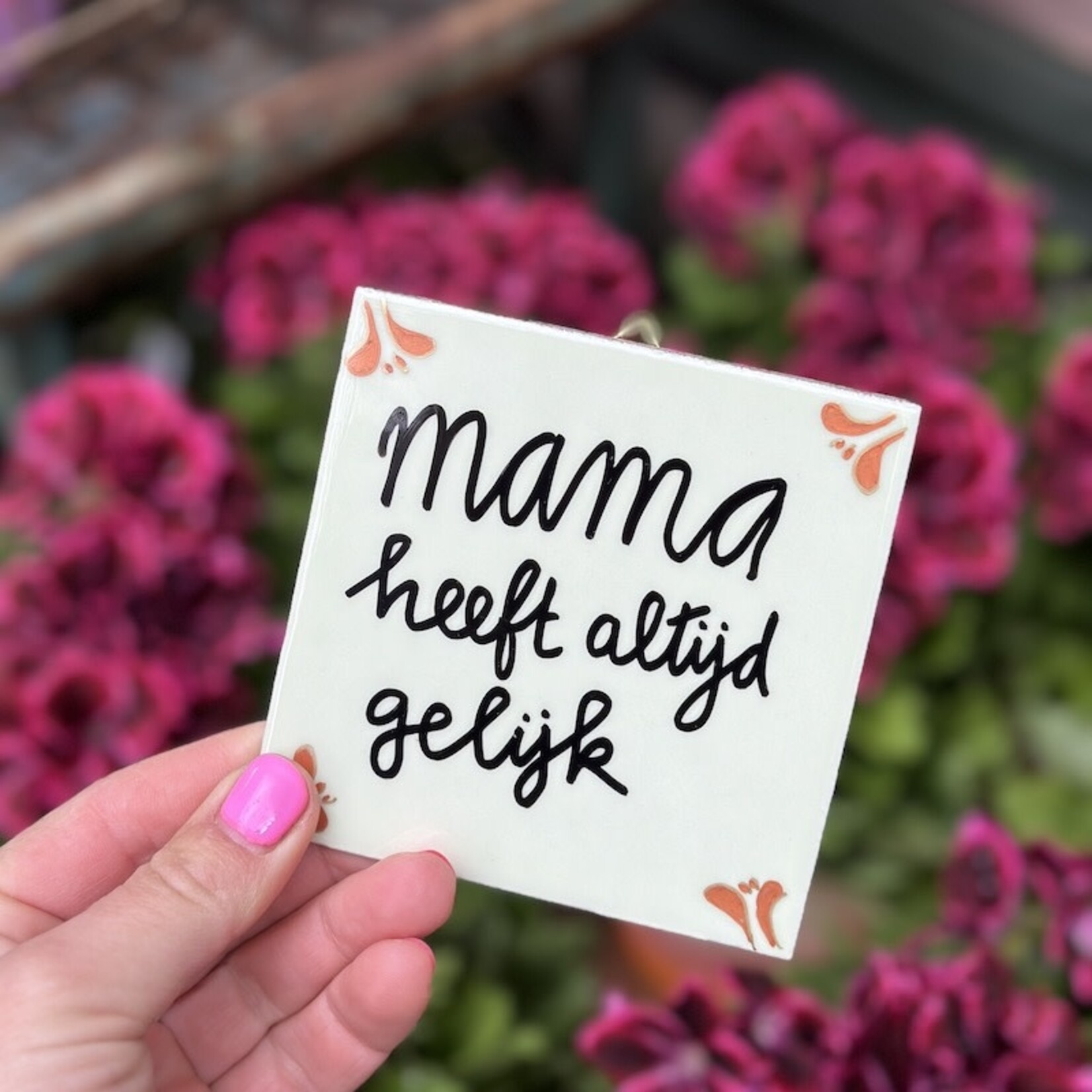 Tegeltje - mama heeft altijd gelijk mint groen